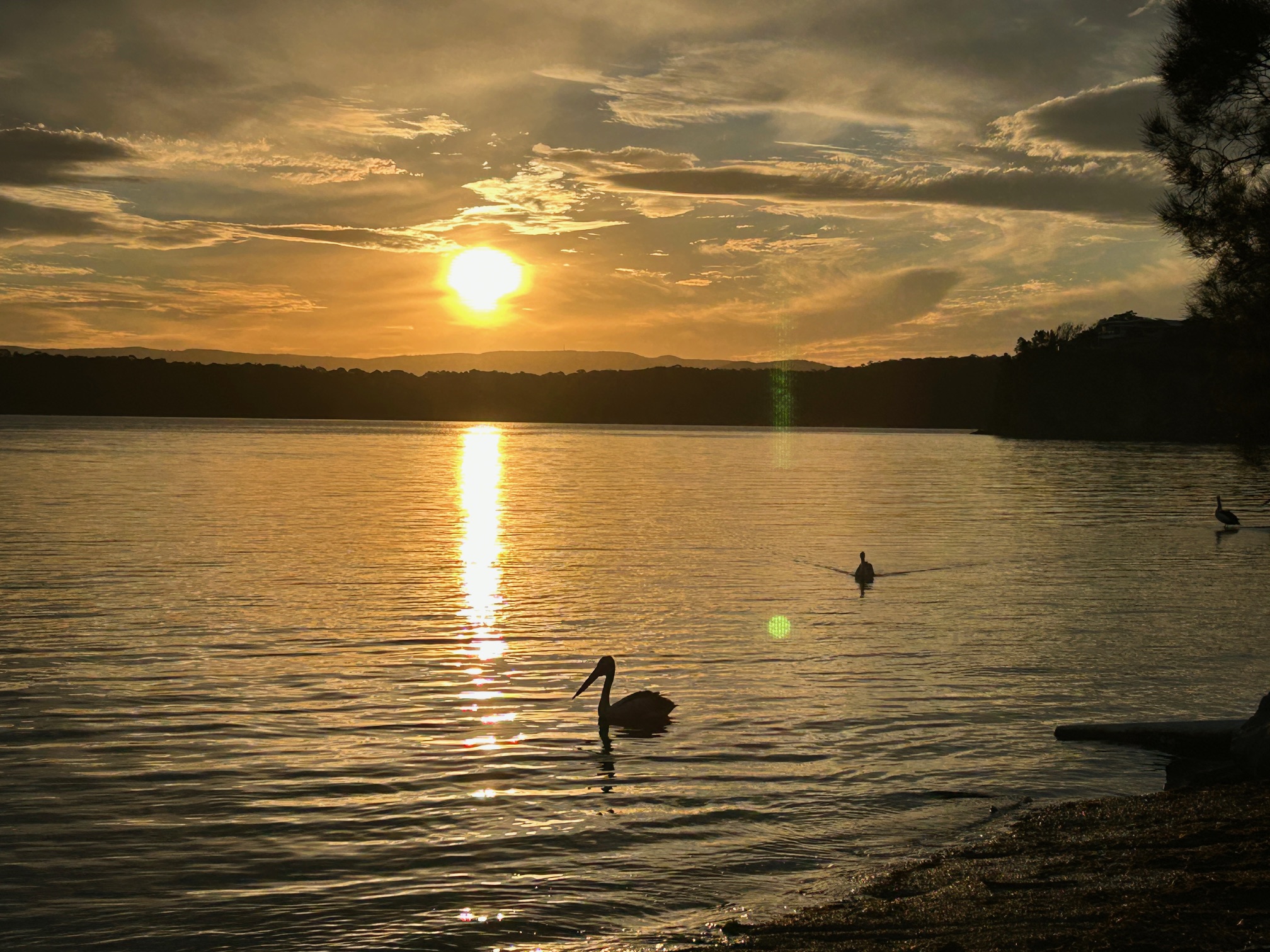 Sunset Isn’t Just Pretty. It’s a Daily Dose of Infrared Therapy